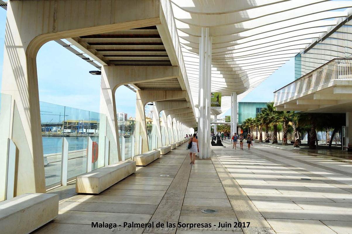 126- Malaga Palmeral Sorpresas.JPG